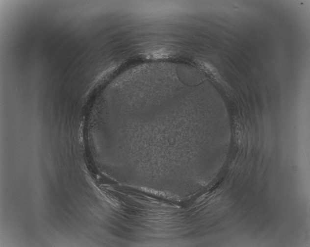 X0000062630543200601041034