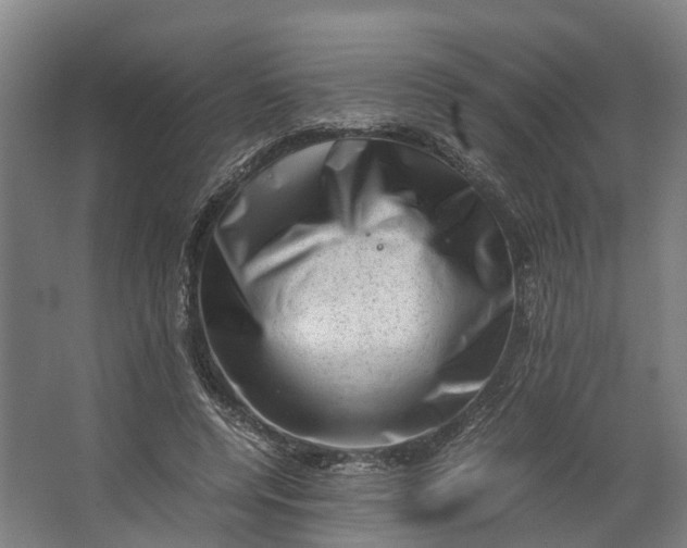 X0000062630544200601041034