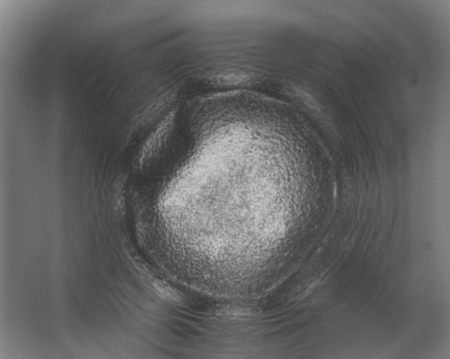 X0000062630545200601041034