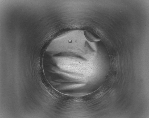 X0000062630548200601041034