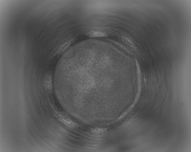 X0000062630549200601041034