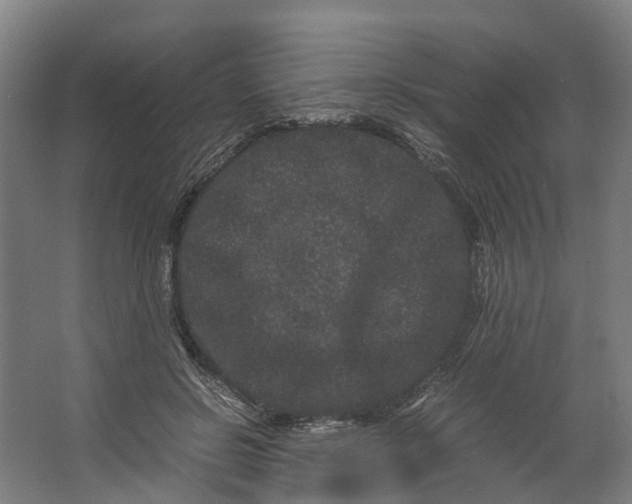 X0000062630550200601041034