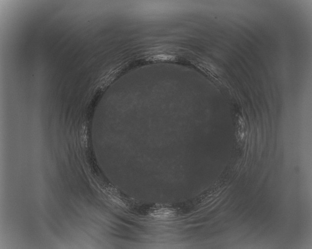 X0000062630551200601041034