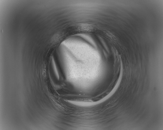 X0000062630552200601041034