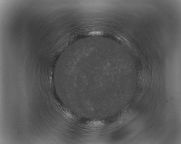 X0000062630553200601041034