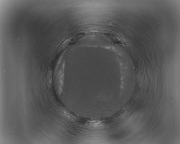 X0000062630554200601041034