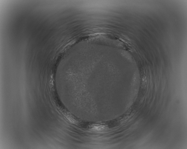 X0000062630555200601041034