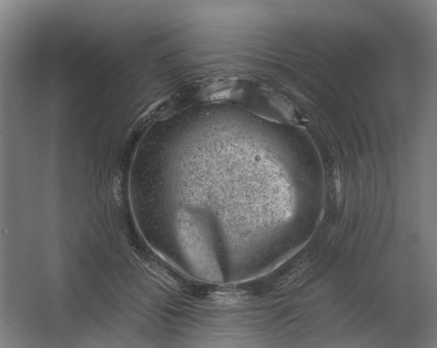 X0000062630556200601041034