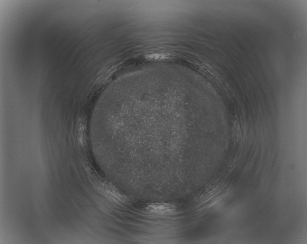 X0000062630557200601041034