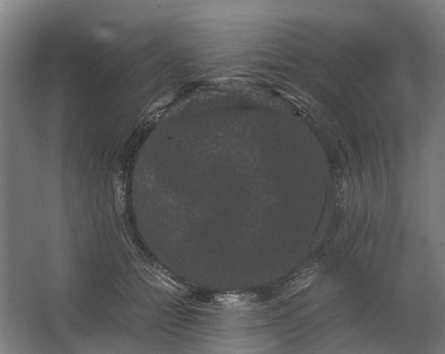 X0000062630558200601041034