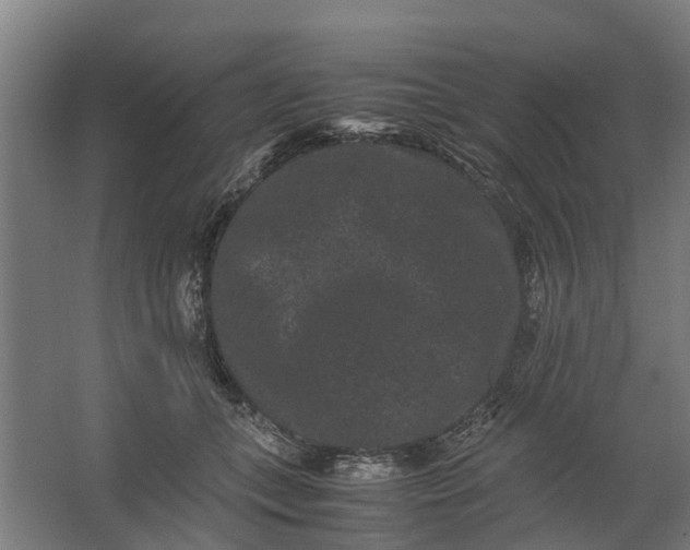 X0000062630559200601041034