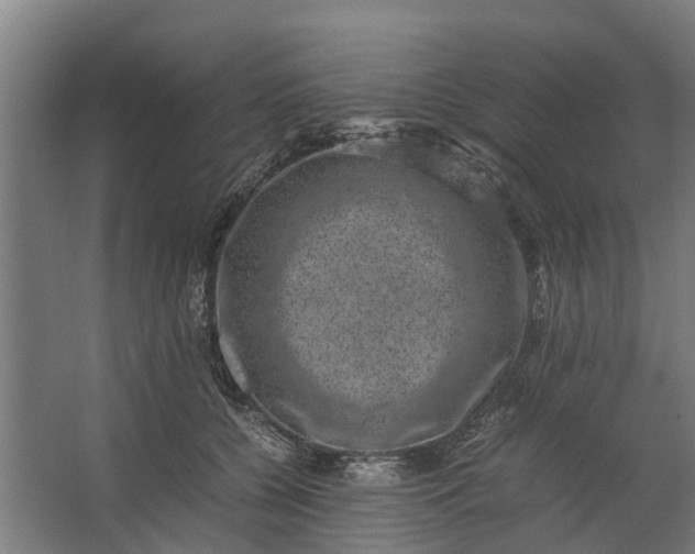 X0000062630560200601041034