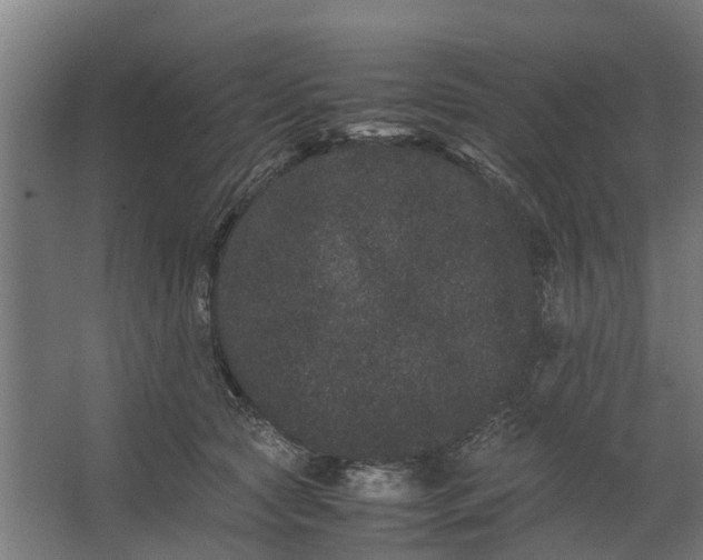 X0000062630561200601041034