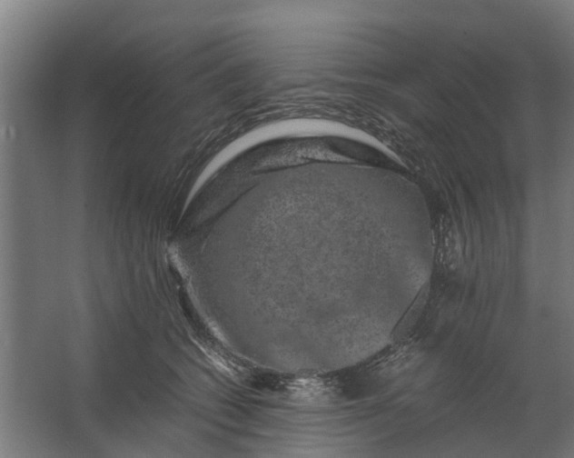 X0000062630562200601041034