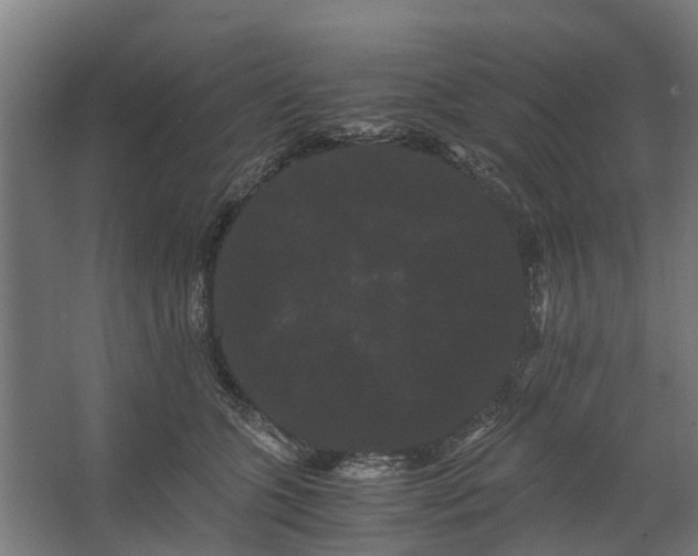 X0000062630563200601041034