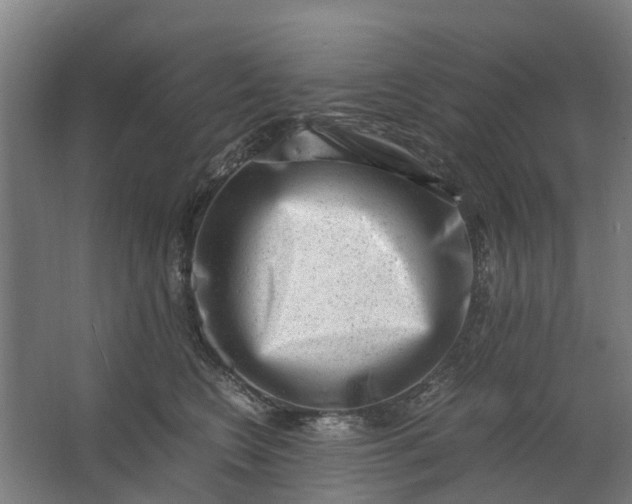 X0000062630566200601041034