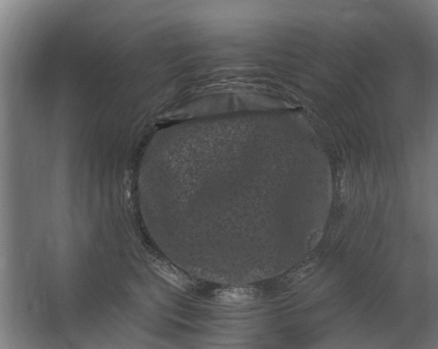 X0000062630567200601041034