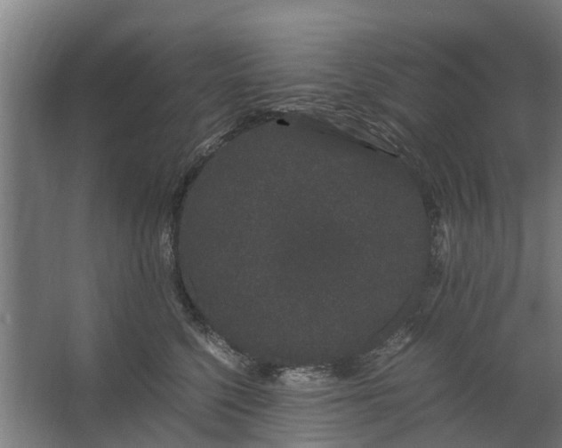 X0000062630568200601041034