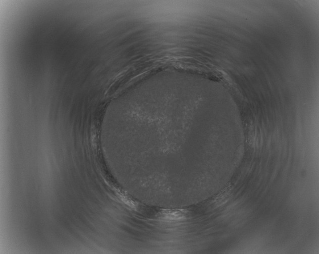 X0000062630569200601041034