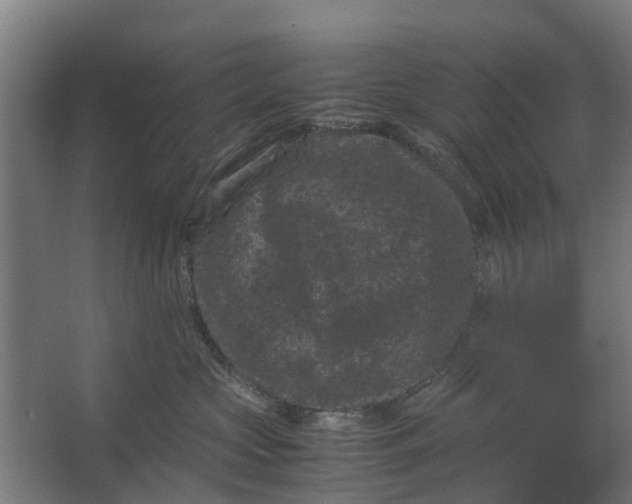 X0000062630573200601041034