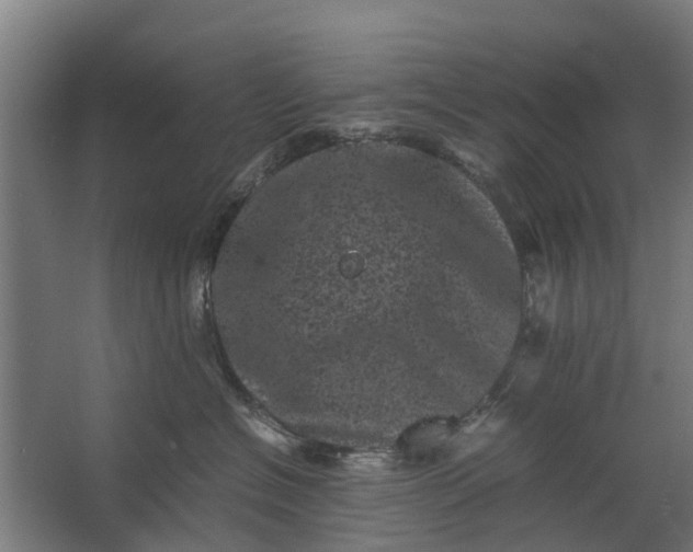 X0000062630574200601041034