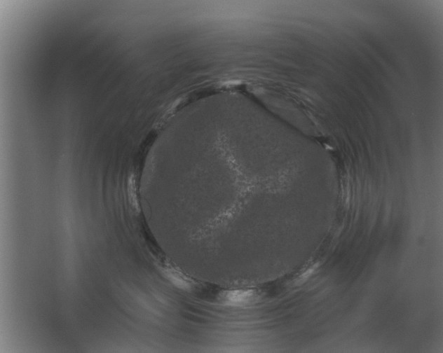 X0000062630575200601041034