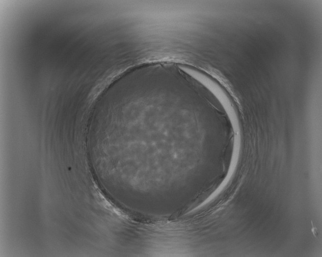 X0000062630577200601041033