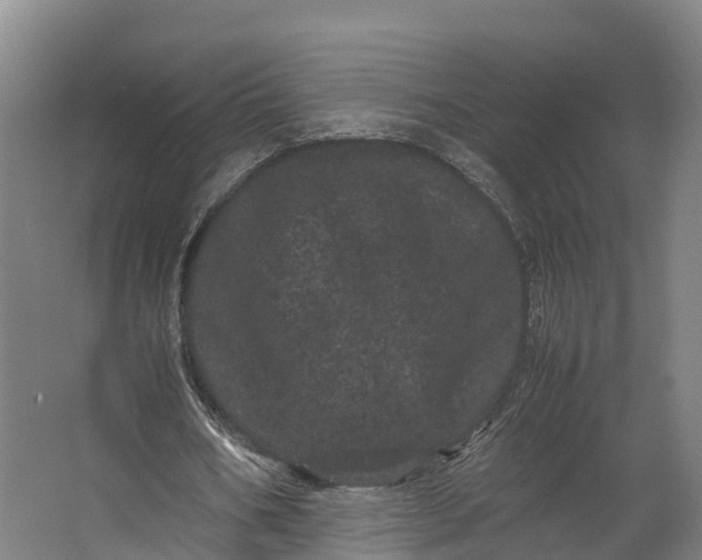 X0000062630578200601041033