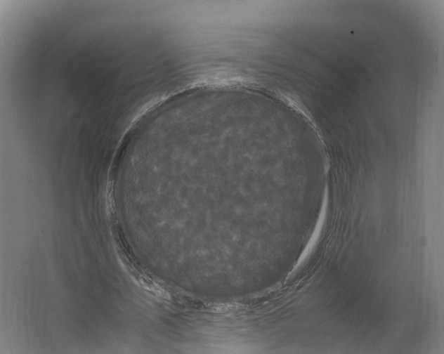 X0000062630579200601041033