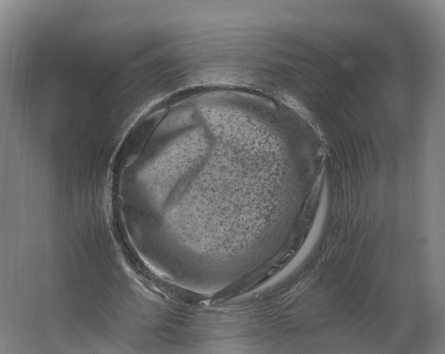 X0000062630580200601041033