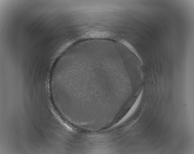 X0000062630581200601041033