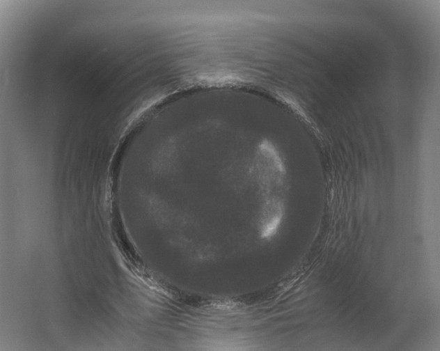 X0000062630583200601041033