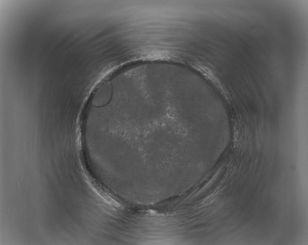 X0000062630584200601041033