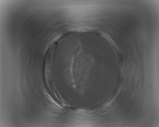 X0000062630585200601041033