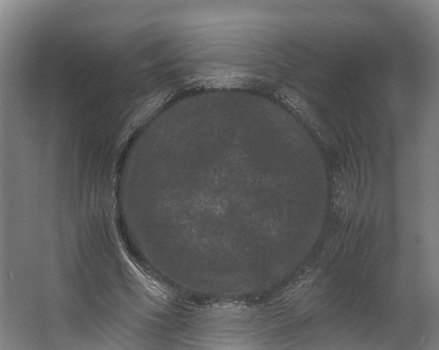 X0000062630586200601041033