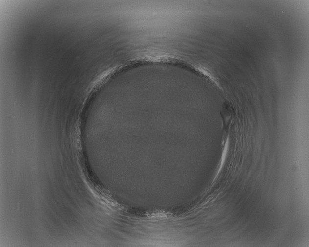 X0000062630587200601041033