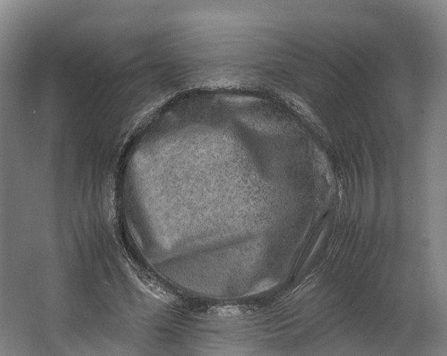 X0000062630588200601041033