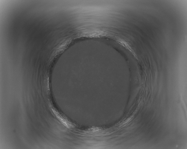 X0000062630589200601041033