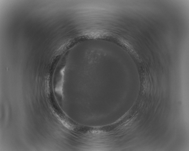 X0000062630590200601041033