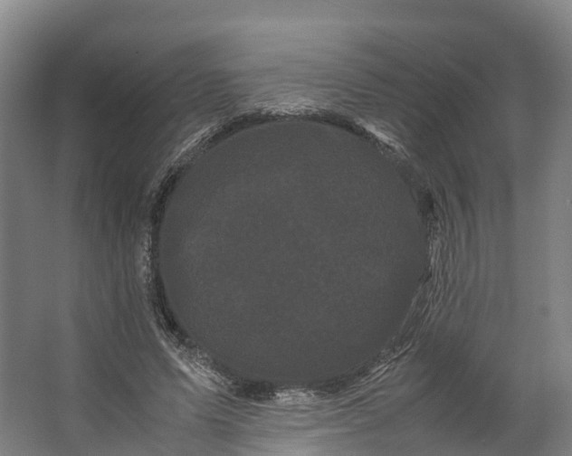 X0000062630591200601041033