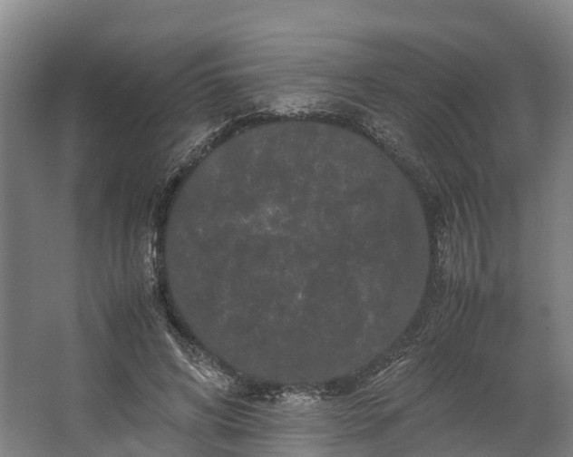 X0000062630592200601041033