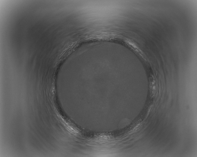 X0000062630593200601041033