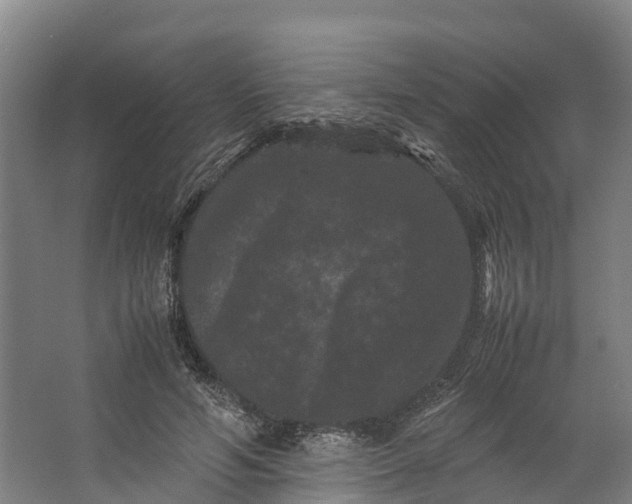 X0000062630594200601041033