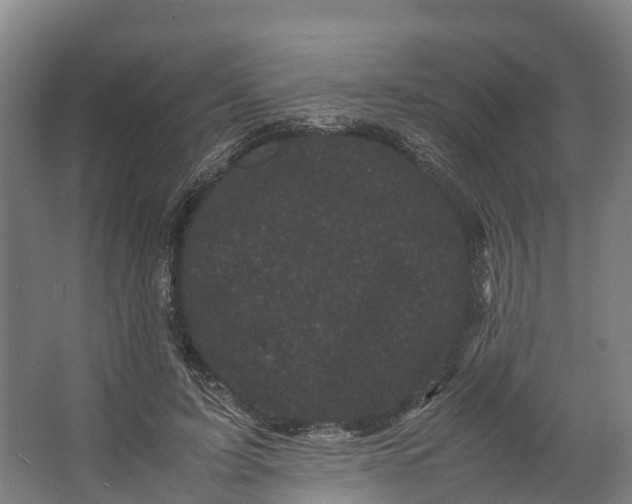 X0000062630595200601041033