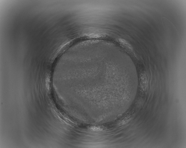 X0000062630596200601041033