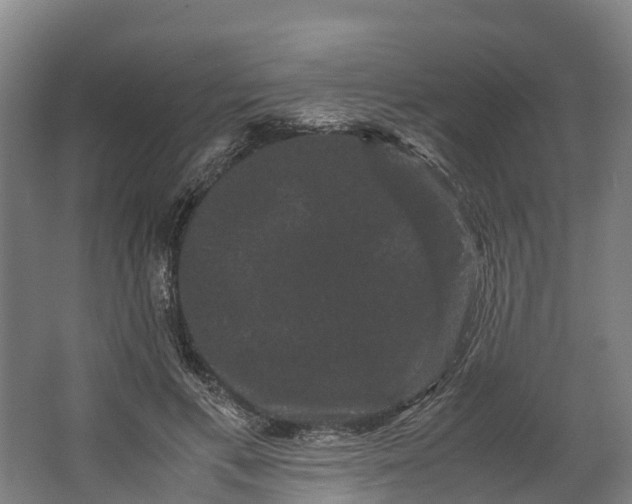 X0000062630597200601041033