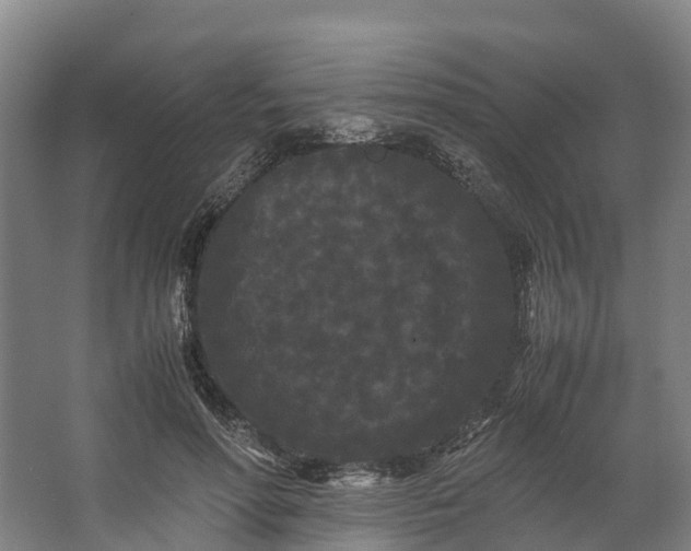 X0000062630598200601041033