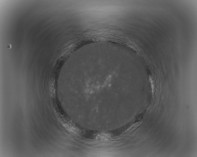 X0000062630599200601041033