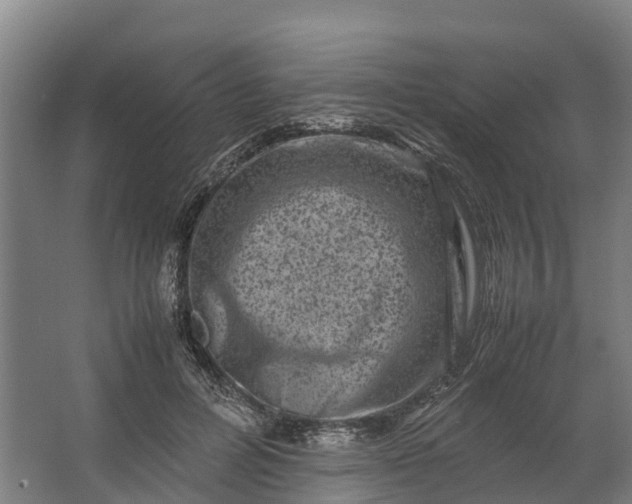 X0000062630600200601041033