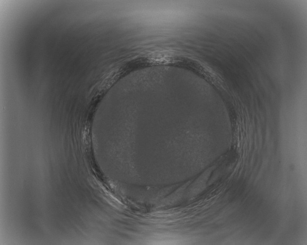 X0000062630601200601041033